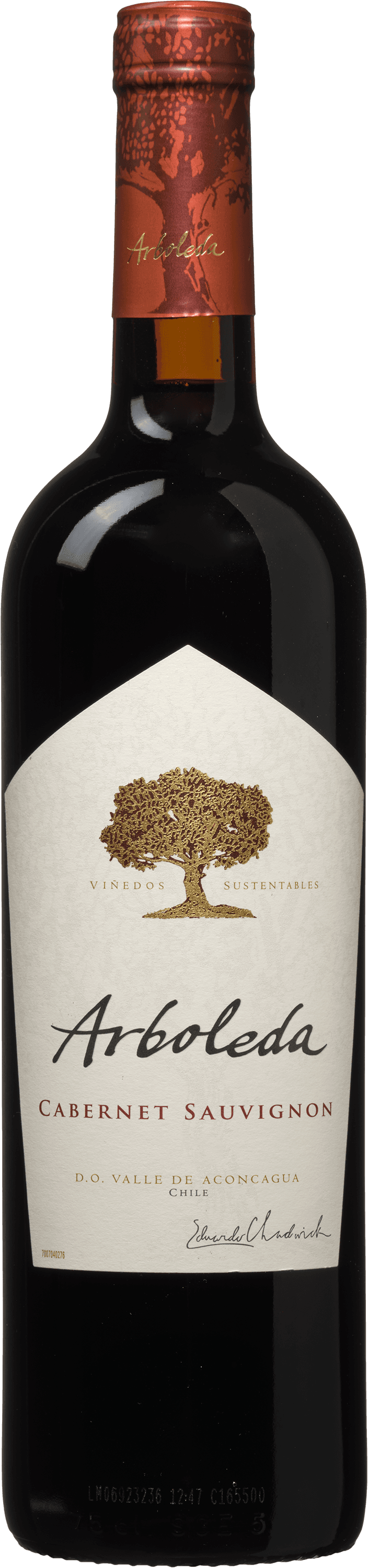 Arboleda Cabernet Sauvignon Aconcagua Valley